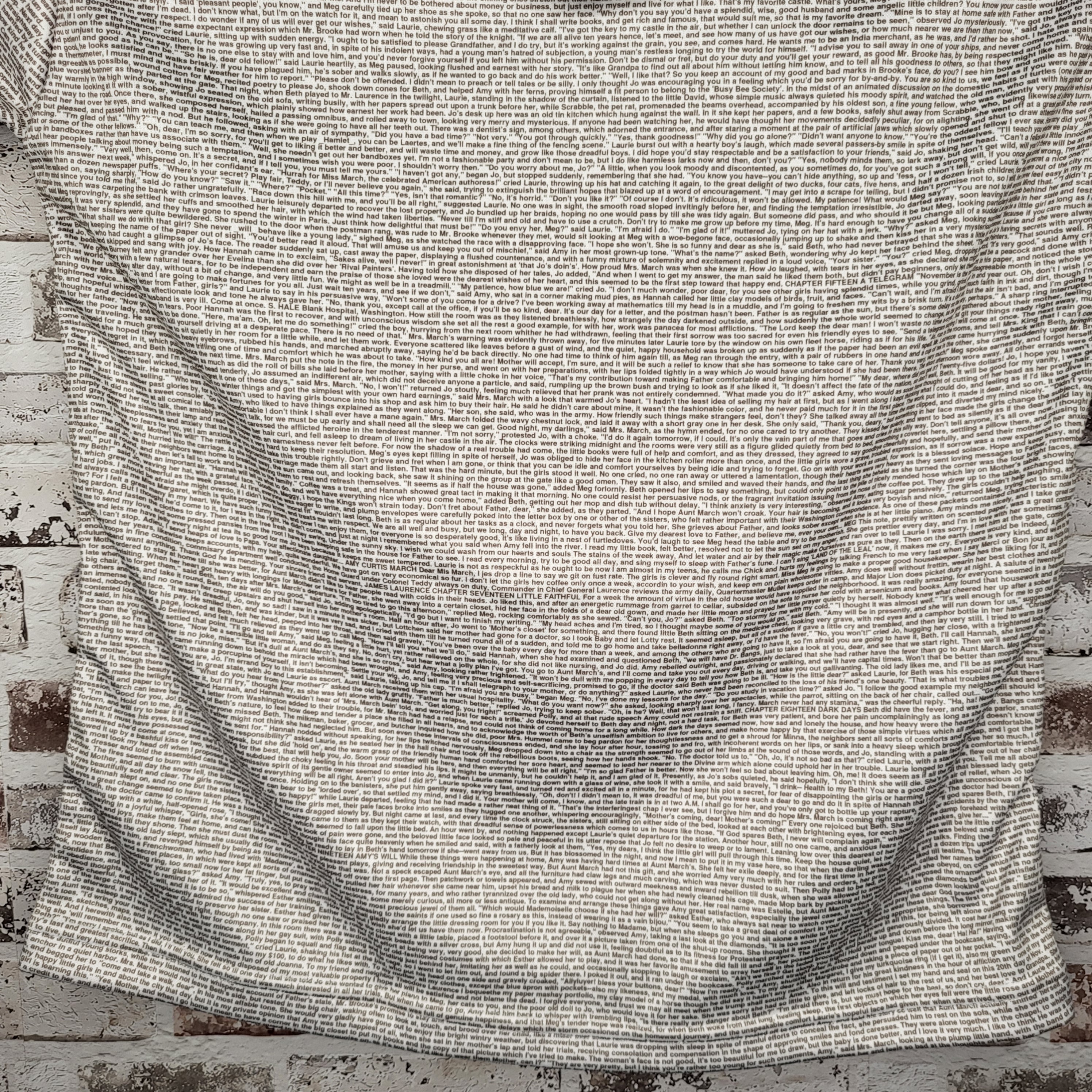 Litographs "Little Women" all-over text print hoodie (Women's Size S)